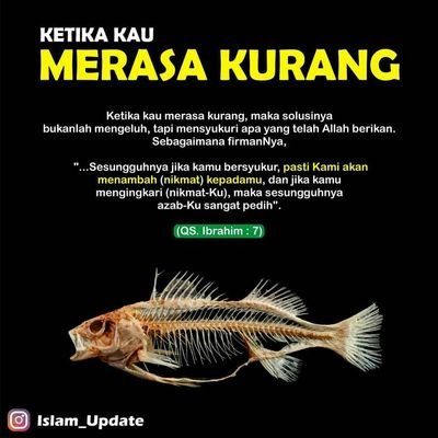 Seorang ibu biasa yg terkadang jenuh & disembuhkan oleh kopi... Manis & pahit itu istimewa, krn sungguh tak ada yg sempurna meski kita makhluk paling sempurna.