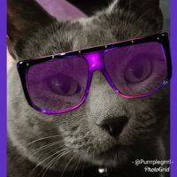 💜Purrrplegrrrl💜(Neese) (@purrrplegrrrl) 's Twitter Profile Photo 💜Purrrplegrrrl💜(Neese) (@purrrplegrrrl) 's Twitter Profile Photo