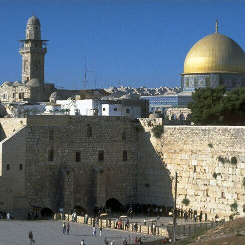 Samir1955Samir's profile picture. 