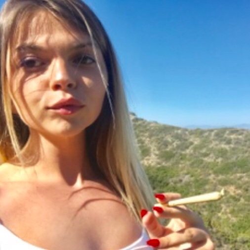 HeavySmoke4's profile picture. NY-CA