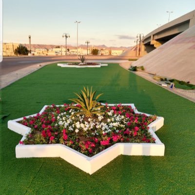 sf1500's profile picture. 