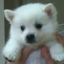 DONGJOO LEE - @dongjoo1978 - Twitter