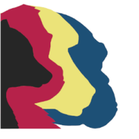 ManyPrimates (@manyprimates) 's Twitter Profile