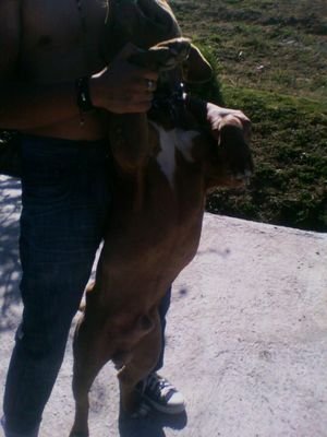 Ricardo19715936's profile picture. 