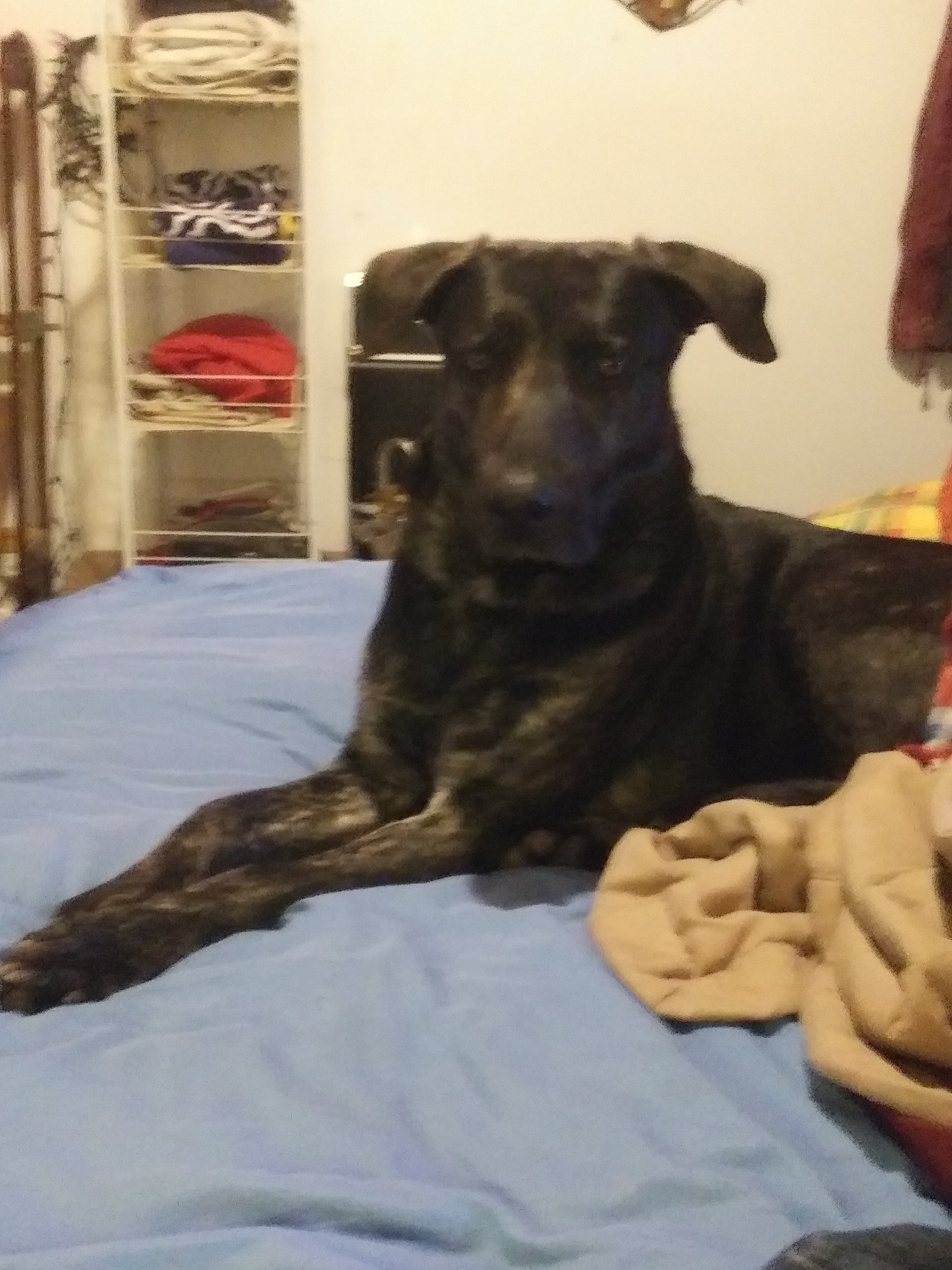 CarolynGranger6's profile picture. I do not believe in bullying. I believe in helping others.but not being used. Integrity, persavearance, hope, laughter & the right to equality.