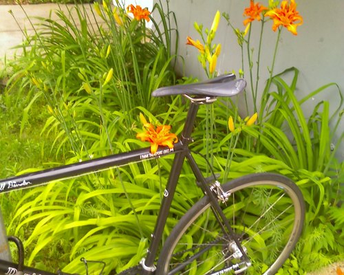 spingod's profile picture. Boston's deadliest messenger,spin instructor,
domestique,personal assistant,collage artist, 
dba Boston Arts Sport Entertainment