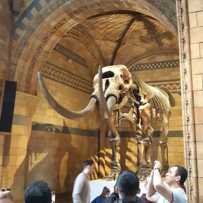 gaeric78's profile picture. Is this the real life?
Is this just fantasy?
Caught in a landslide
No escape from reality;
Open your eyes
Look up to sky and see!