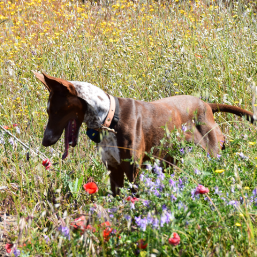 MunsLena's profile picture. Ich finde Tiere großartig