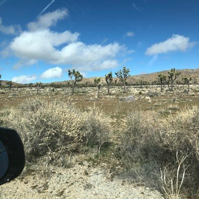 tylerne93930620's profile picture. 