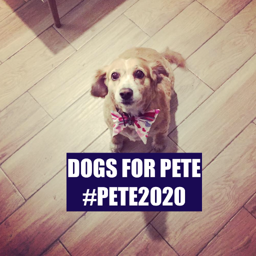 DogsforPete