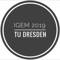iGEM TU Dresden 2019 (@igemtudy) 's Twitter Profile