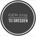 iGEM TU Dresden 2019 (@igemtudy) Twitter profile photo iGEM TU Dresden 2019 (@igemtudy) Twitter profile photo