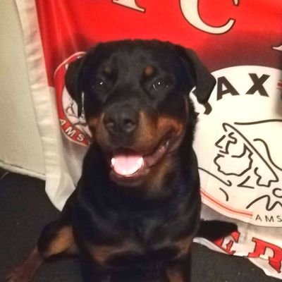 Vici28xrp's profile picture. 