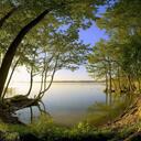 Xavier Reyes - @xrey922 - Twitter