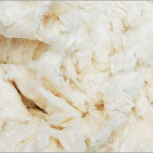 Dilys35585165's profile picture. 