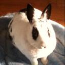 Lynn Watters - @Hoppysmom - Twitter