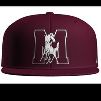 Morton Baseball (Berwyn-Cicero) (@mortonbasebal) 's Twitter Profile