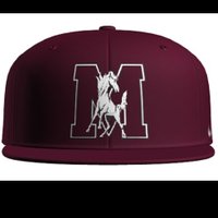 Morton Baseball (Berwyn-Cicero)(@MortonBasebal) 's Twitter Profile Photo