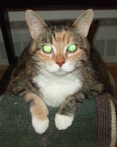 vaioPRO's profile picture. 