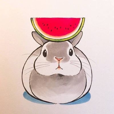 Developer of Mu Palm OS emulator(https://t.co/6BS78OdXe9), part of the @libretro team. Topics: emulation, handheld consoles, cute things