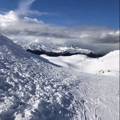 CarolPe64837759's profile picture. Love nature & animals. Let’s protect the Earth. CarolLovesCookies on the 🦋