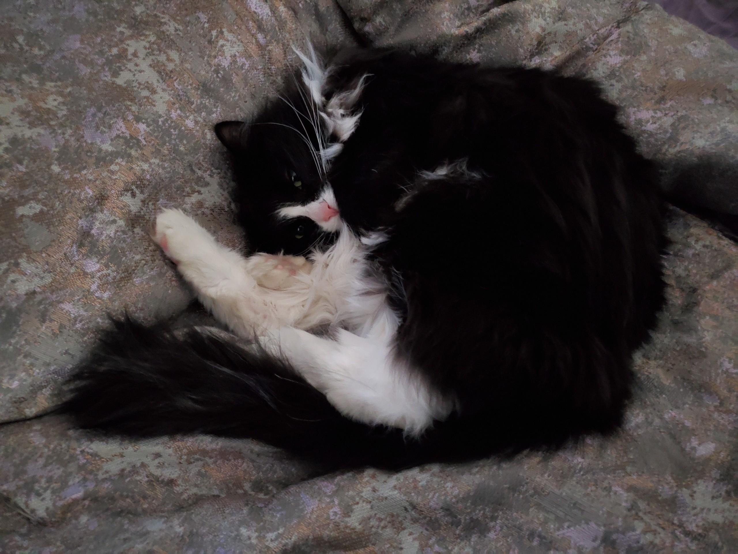 kiratorres91's profile picture. 