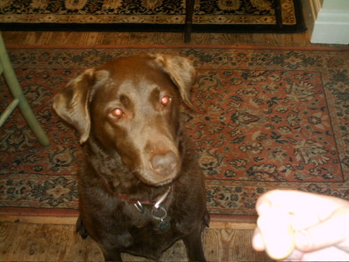 billiefrancis's profile picture. 