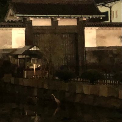 hitomoshi_eg's profile picture. UTokyo