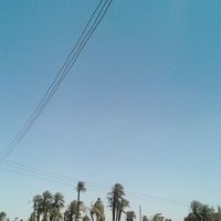 النسر الحر (@gkiadt81hdwkzrl) 's Twitter Profile