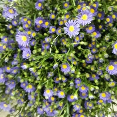 Victor02328713's profile picture. sexy mean  lovable😗😗😗