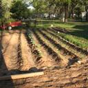 Gary Jeter - @jeterP - Twitter