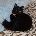 Olive Sullivan-Myers - @OLIVEtheBELOVED - Twitter