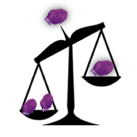 TRIMMprogram's profile picture. Translational Immunology Program (TRIMM) at the University of Helsinki, headed by Professor Satu Mustjoki