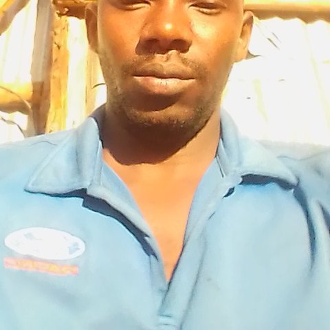 PiusMwavu's profile picture. born 19.12.1992