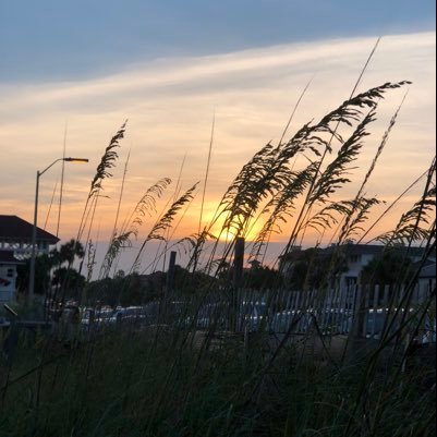 Leesee13507216's profile picture. 