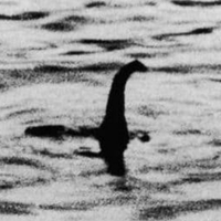 かずせん（かず専）📷📹 (@kazusen_toshi) Twitter profile photo