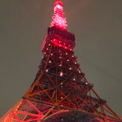 2019年4月設立。インカレサークル『東京タワー同好会』です。学習院大学を拠点に活動しています。メンバーを常に募集しています。興味・質問のある方はDMまたはttc3838@gmail.comまで御連絡を宜しくお願い致します。#春から学習院