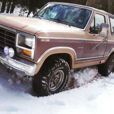 CalvinM72262185's profile picture. I am a dog