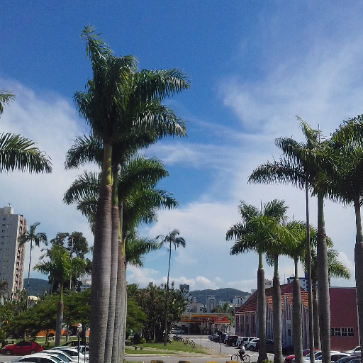 Informações e curiosidades sobre o clima em Itajaí (SC).