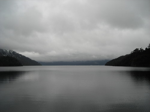 Turistico's profile picture. 