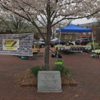 sally (@sallymicky1004) 's Twitter Profile Photo