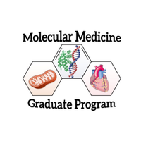 UIowa Molecular Medicine Graduate Program (@uiowa_molmed) 's Twitter Profile