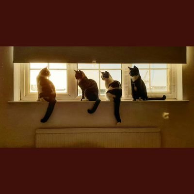 N_youall's profile picture. Am to living. I accept growth & mistakes. My interests are https://t.co/9Ytn8S1e5q's about ever changing perspectives.... you don't have to agree with everyone.