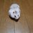 雄介のアイコン
