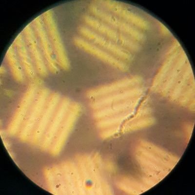 Занимаюсь физической и прикладной оптикой и расчетами оптических систем
🤝
I am engaged in physical and applied optics and calculations of optical systems
👨🎓