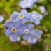 Dementia/Delirium Care Team (@sftdementiateam) Twitter profile photo Dementia/Delirium Care Team (@sftdementiateam) Twitter profile photo