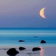 sheekyl's profile picture. ⭐Scorpio,

Sign Language interp.