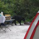 David Dotson - @dotson921 - Twitter