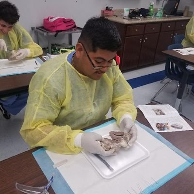 joseram1201's profile picture. me la pelan todos alv