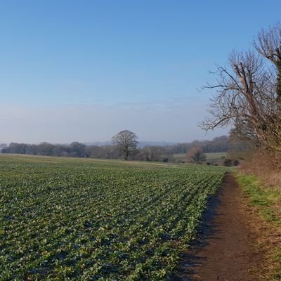 LeeMainsy's profile picture. 